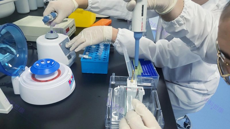 生物实验外包