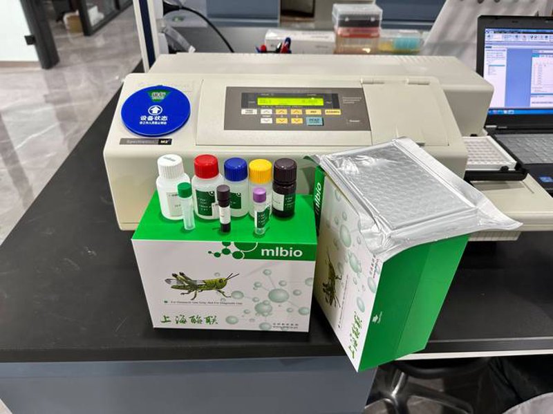 生物科技引领未来，桂林生物科技在行动